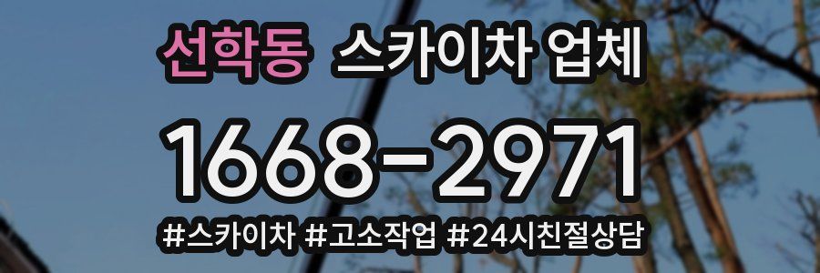 선학동 스카이차 업체