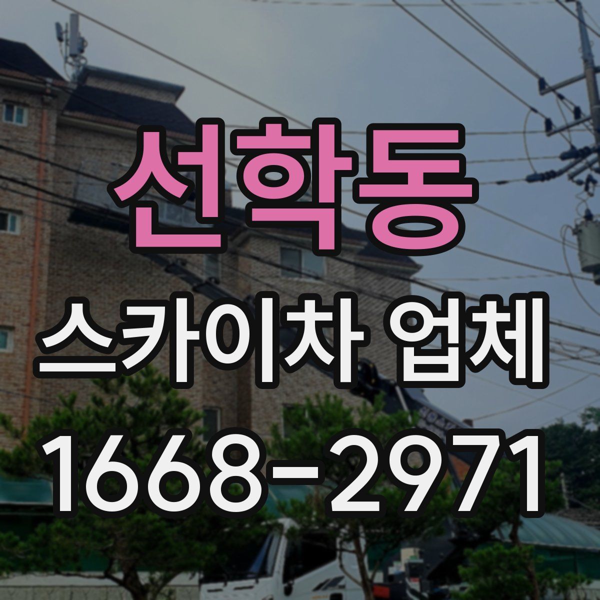 선학동 스카이차 업체
