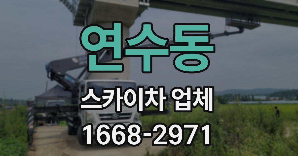 연수동 스카이차 업체