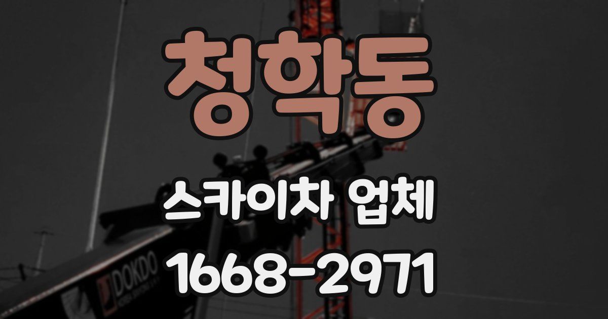 청학동 스카이차 업체