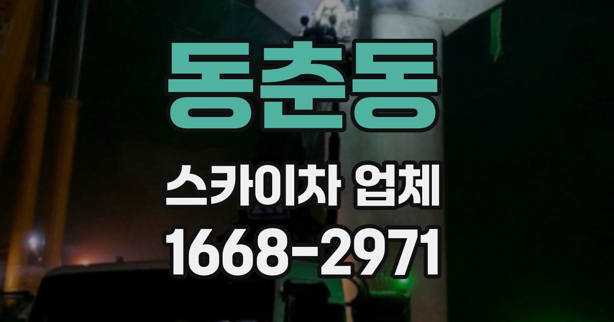 동춘동 스카이차 업체