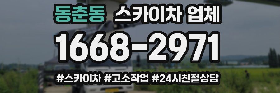 동춘동 스카이차 업체