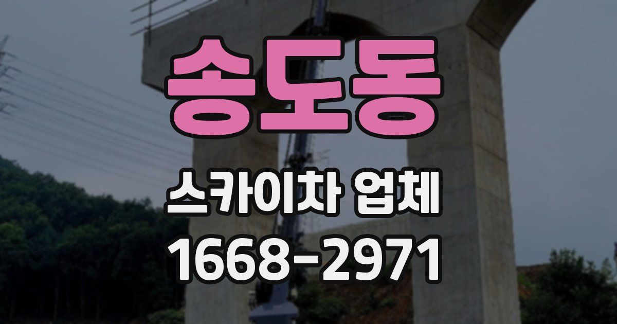 송도동 스카이차 업체