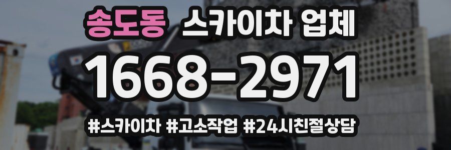 송도동 스카이차 업체