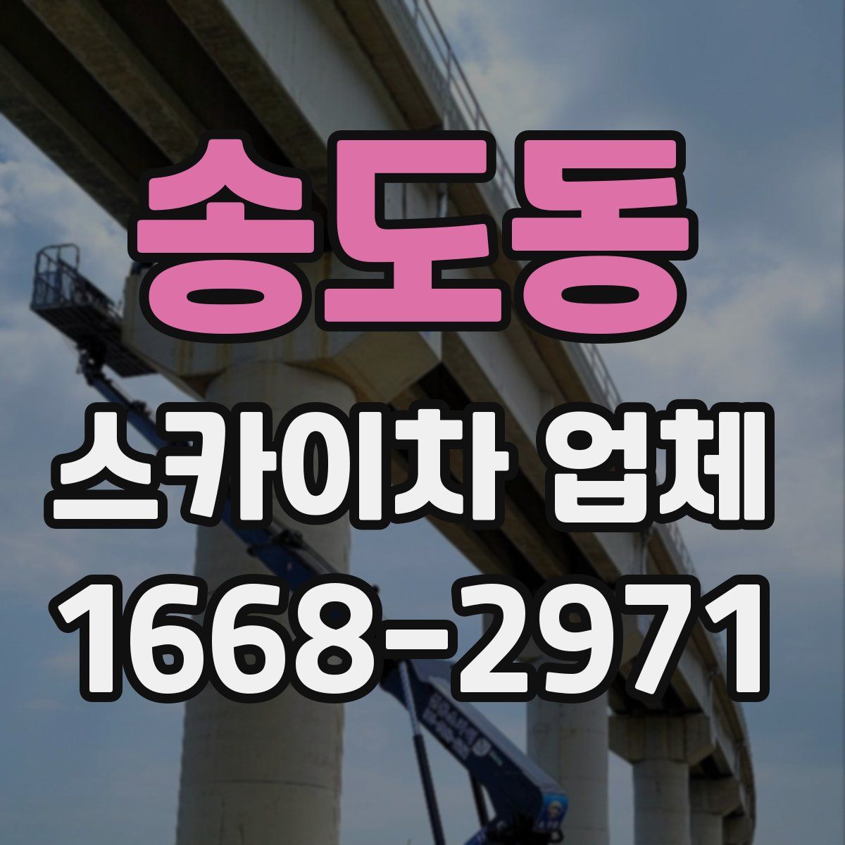 송도동 스카이차 업체