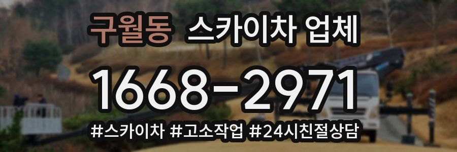 구월동 스카이차 업체
