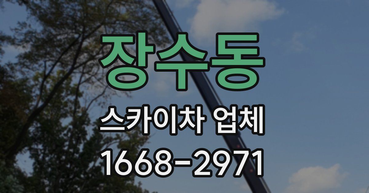 장수동 스카이차 업체