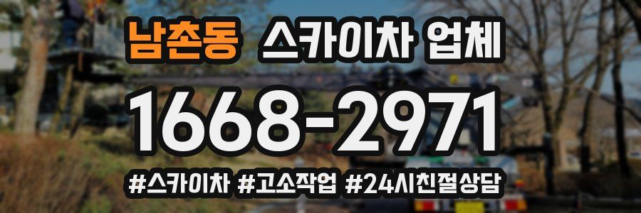남촌동 스카이차 업체