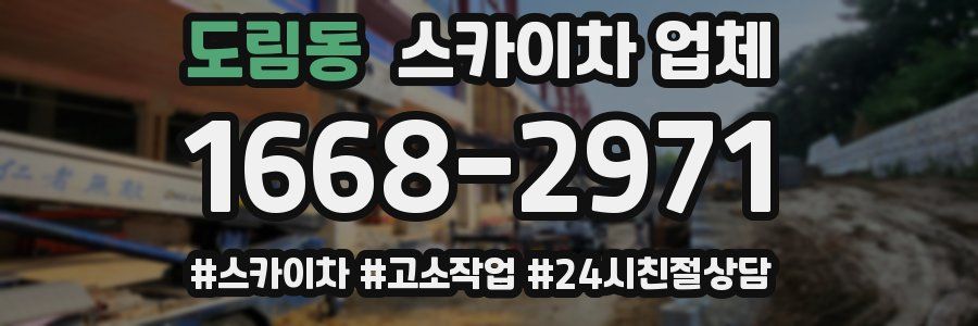 도림동 스카이차 업체