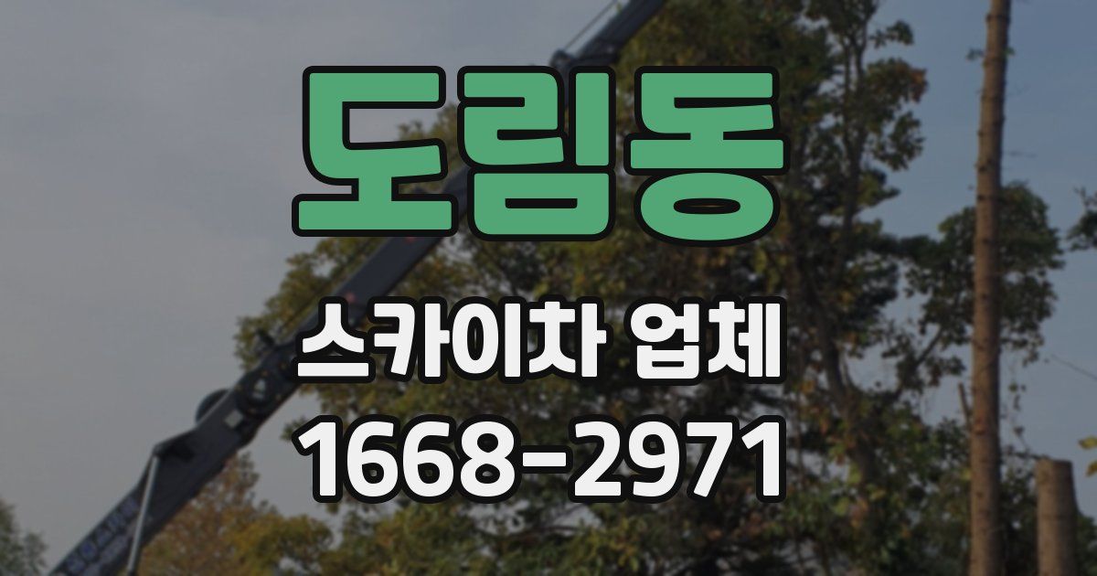 도림동 스카이차 업체