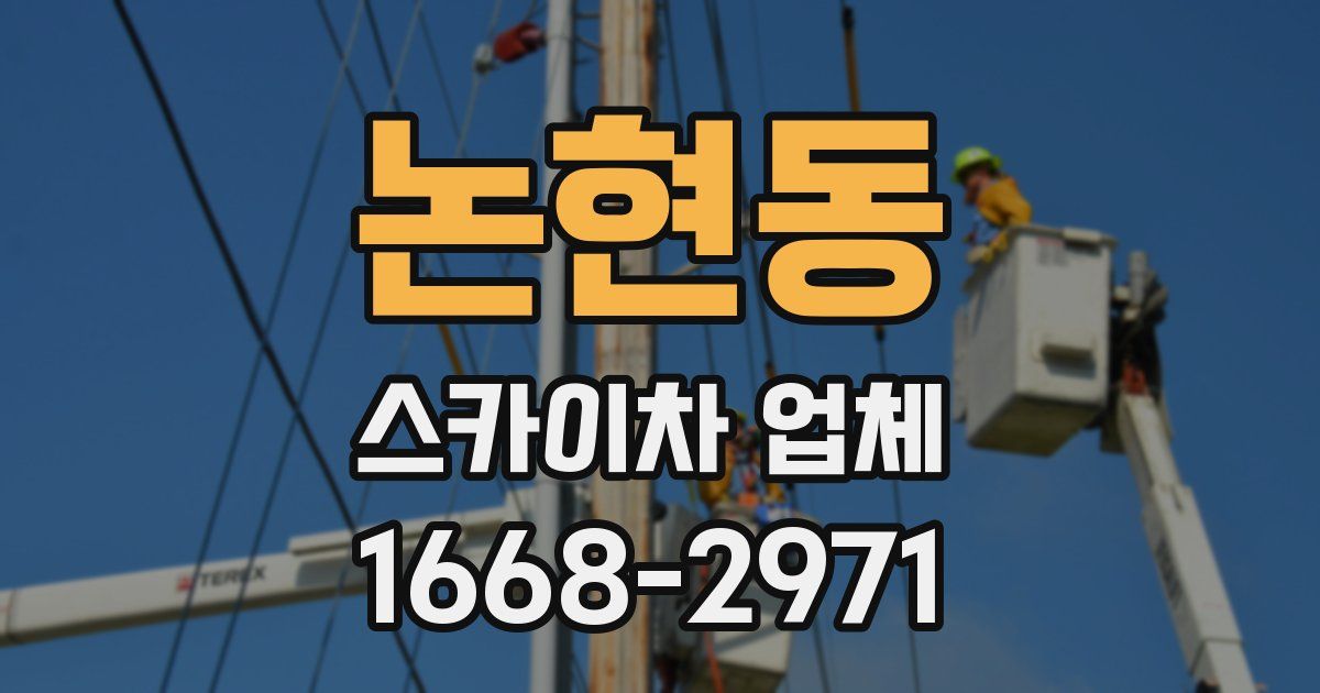 논현동 스카이차 업체