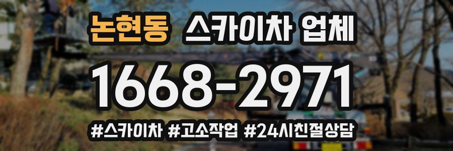 논현동 스카이차 업체