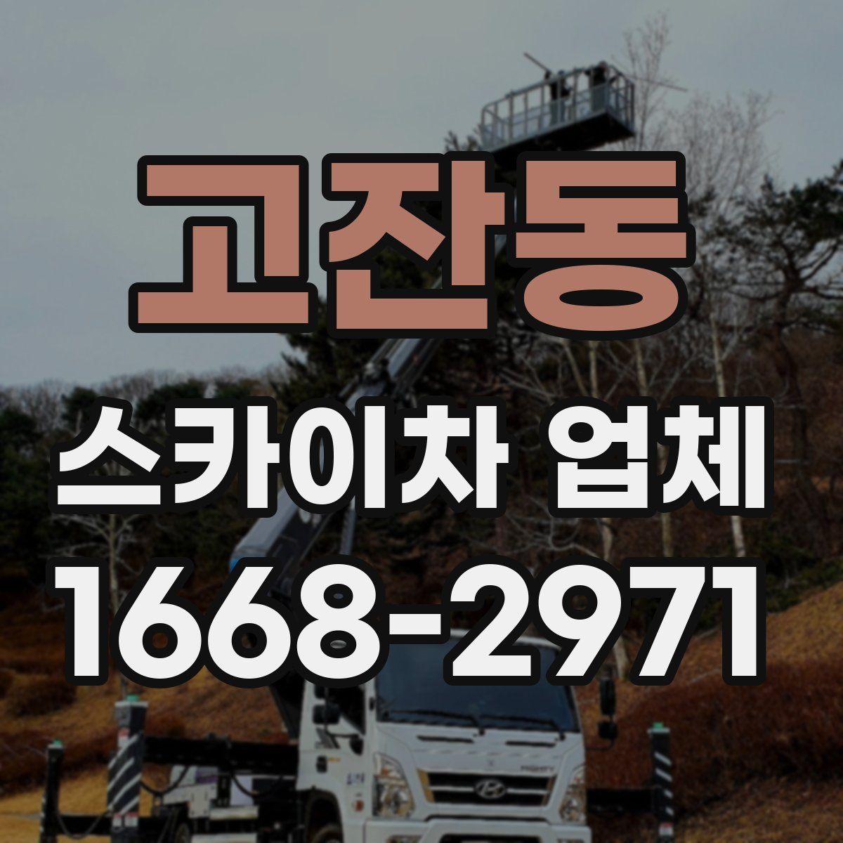 고잔동 스카이차 업체