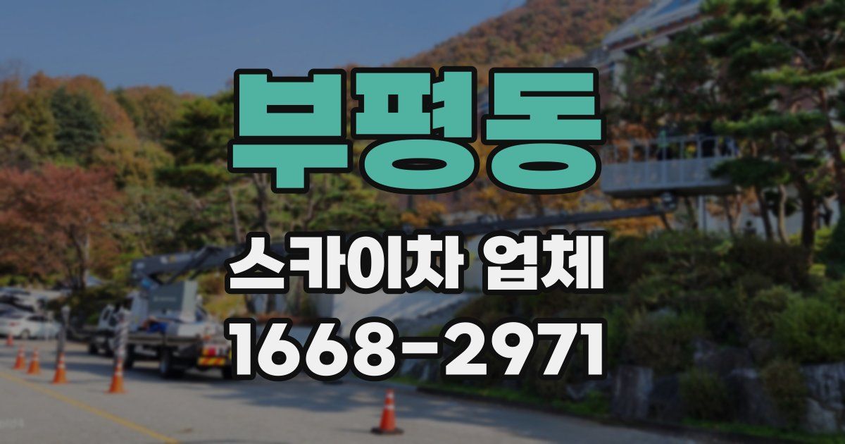 부평동 스카이차 업체