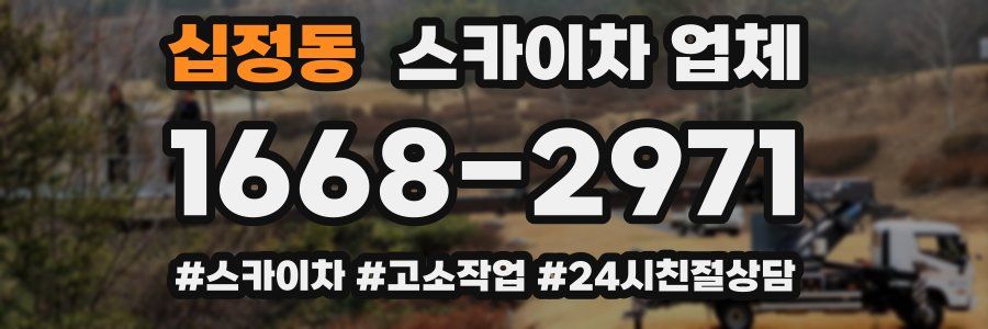 십정동 스카이차 업체