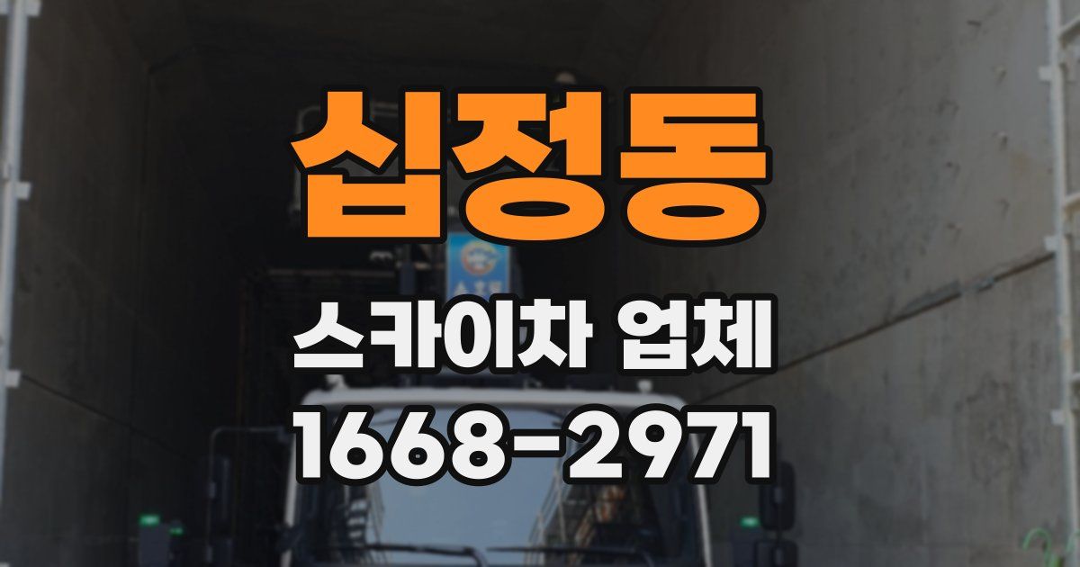 십정동 스카이차 업체