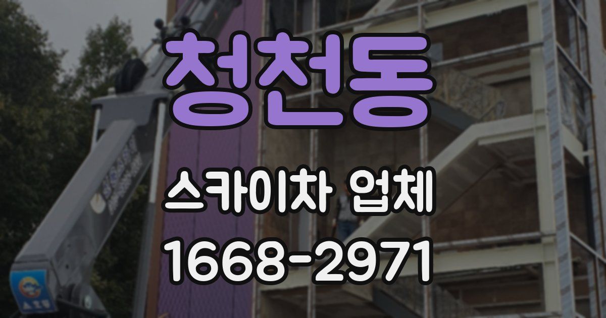 청천동 스카이차 업체