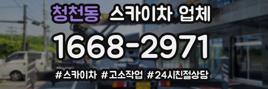 청천동 스카이차 업체