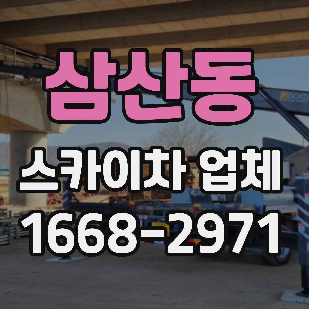 삼산동 스카이차 업체