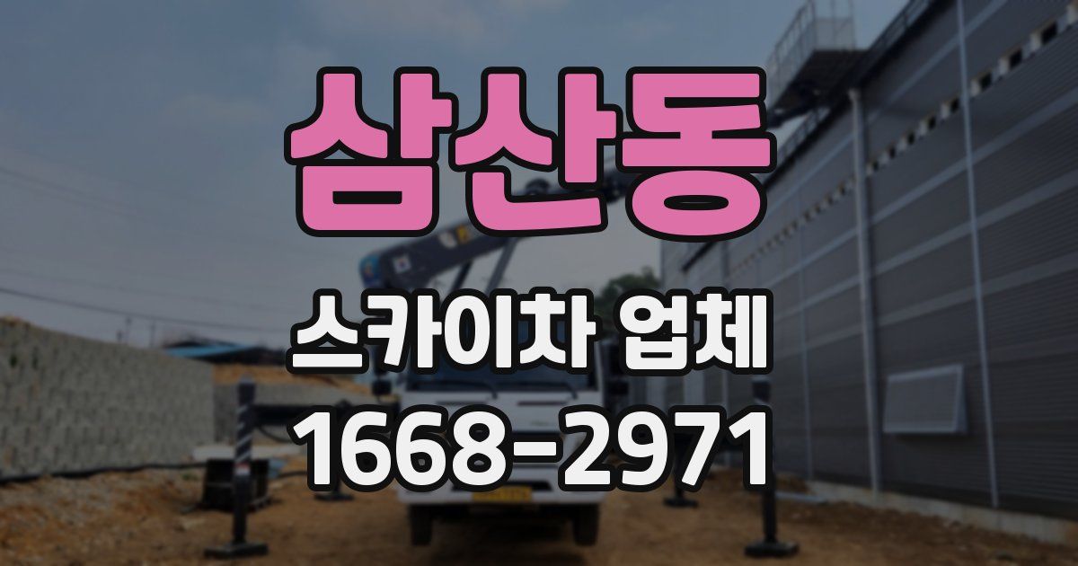삼산동 스카이차 업체