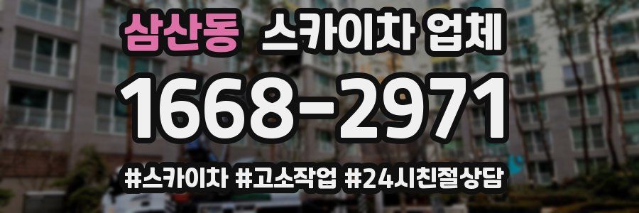 삼산동 스카이차 업체