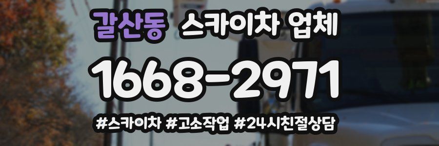 갈산동 스카이차 업체
