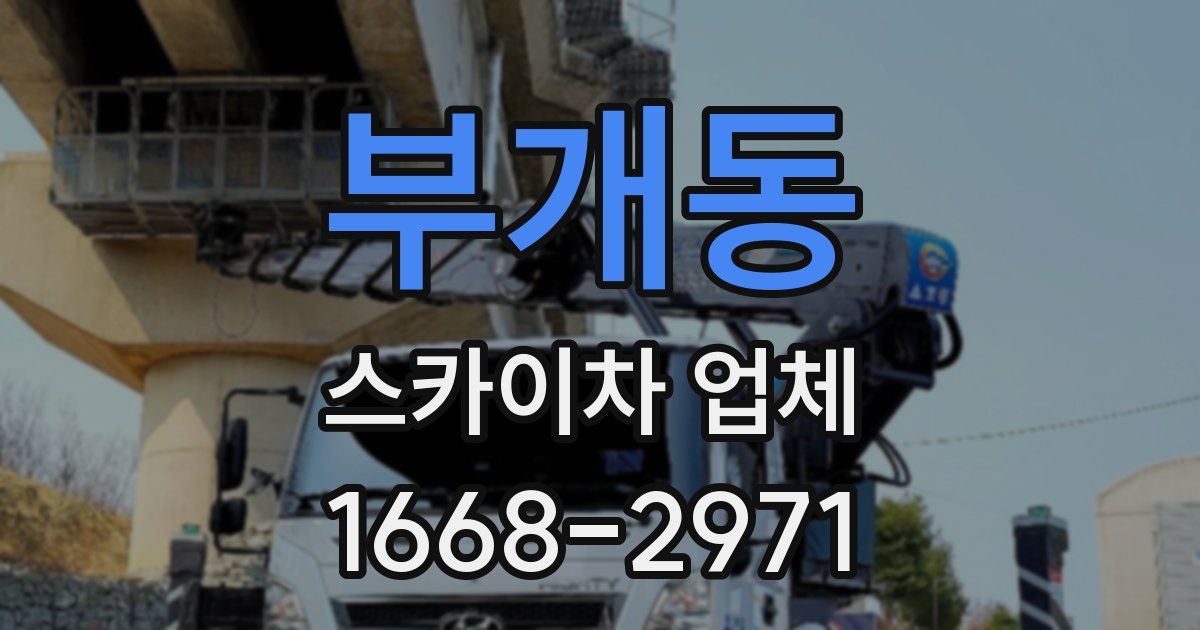 부개동 스카이차 업체