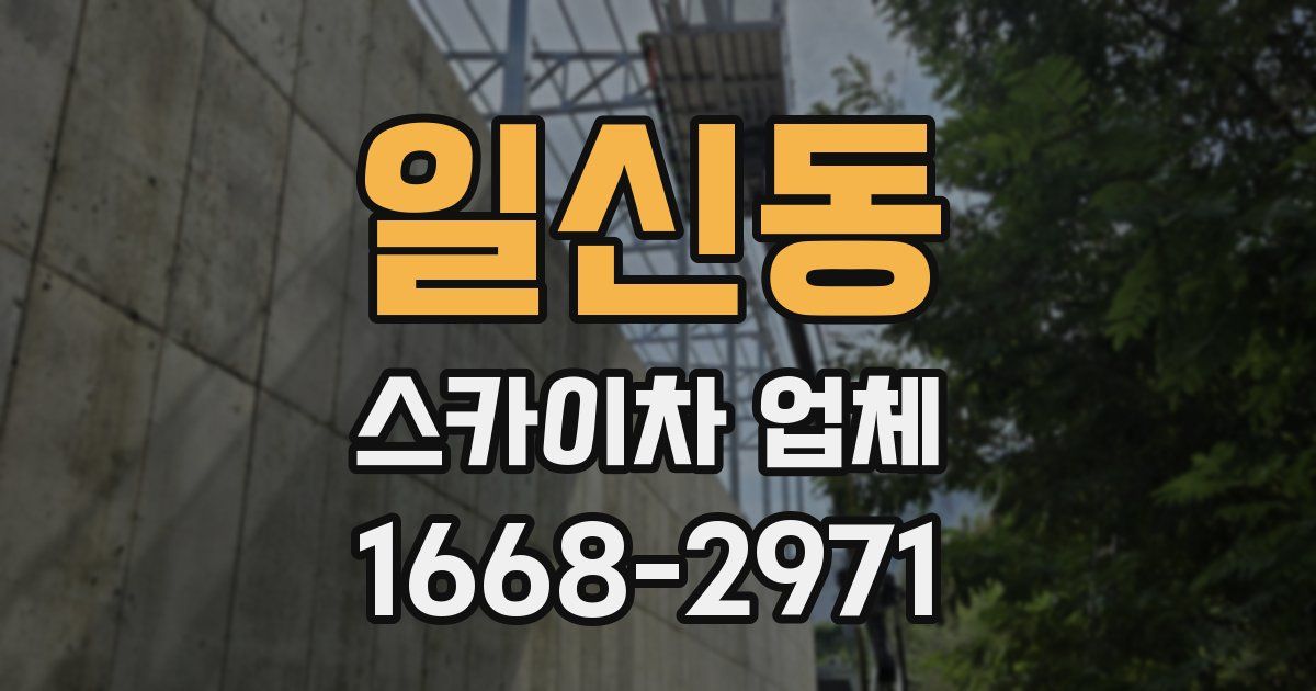 일신동 스카이차 업체