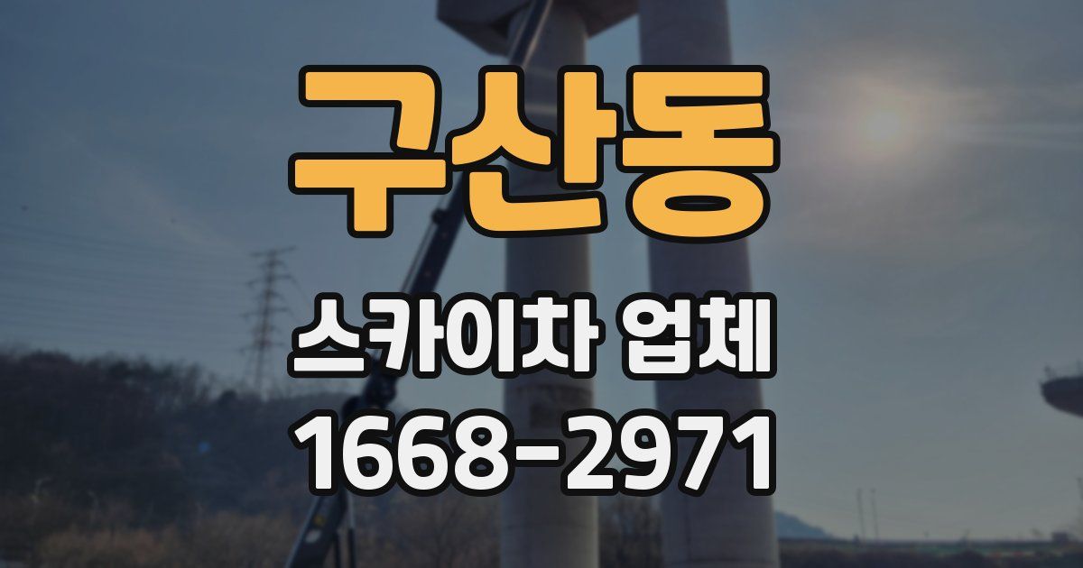 구산동 스카이차 업체