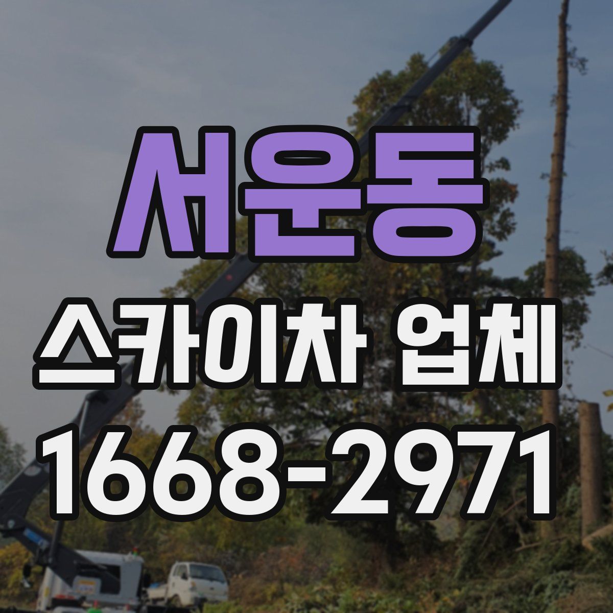 서운동 스카이차 업체
