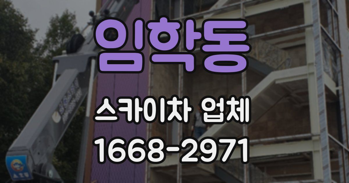 임학동 스카이차 업체