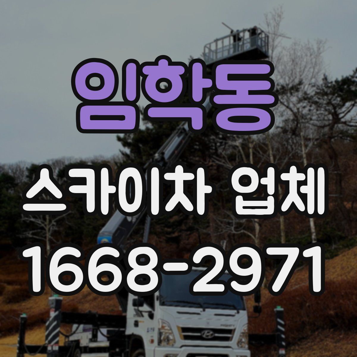 임학동 스카이차 업체