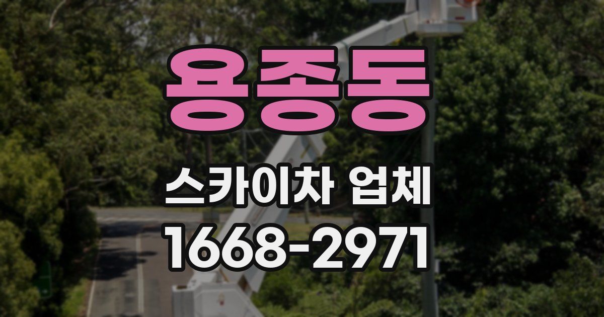 용종동 스카이차 업체