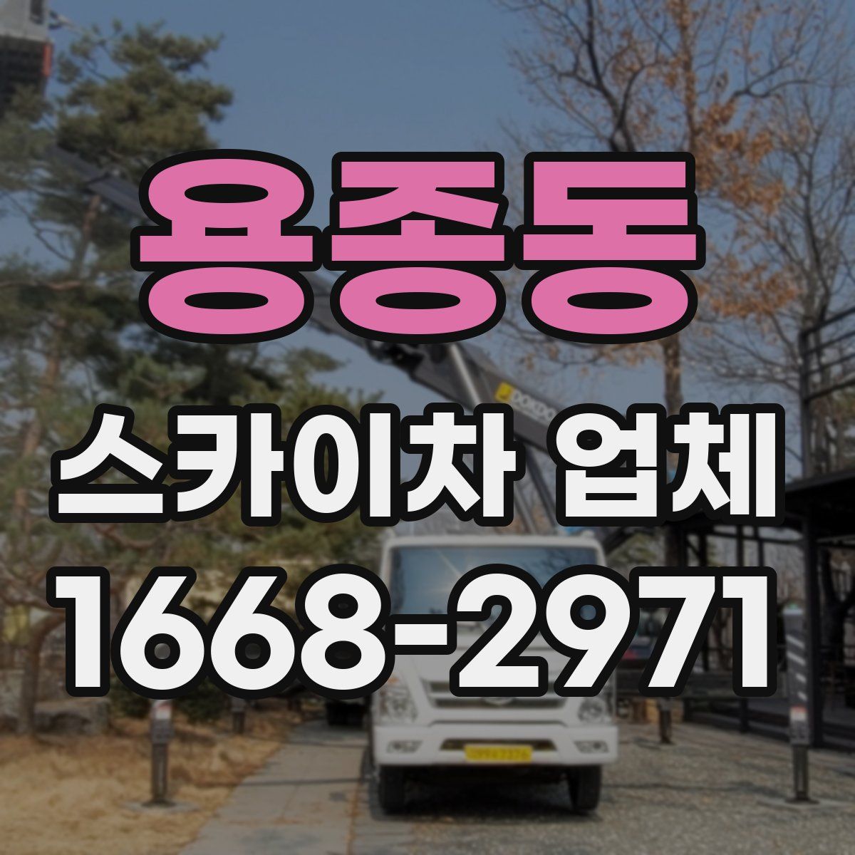 용종동 스카이차 업체