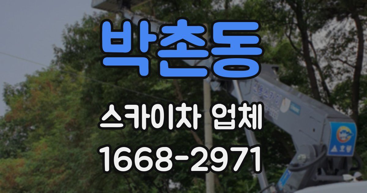 박촌동 스카이차 업체