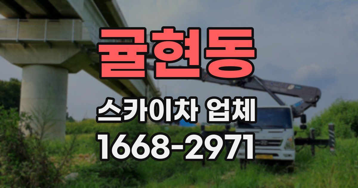 귤현동 스카이차 업체