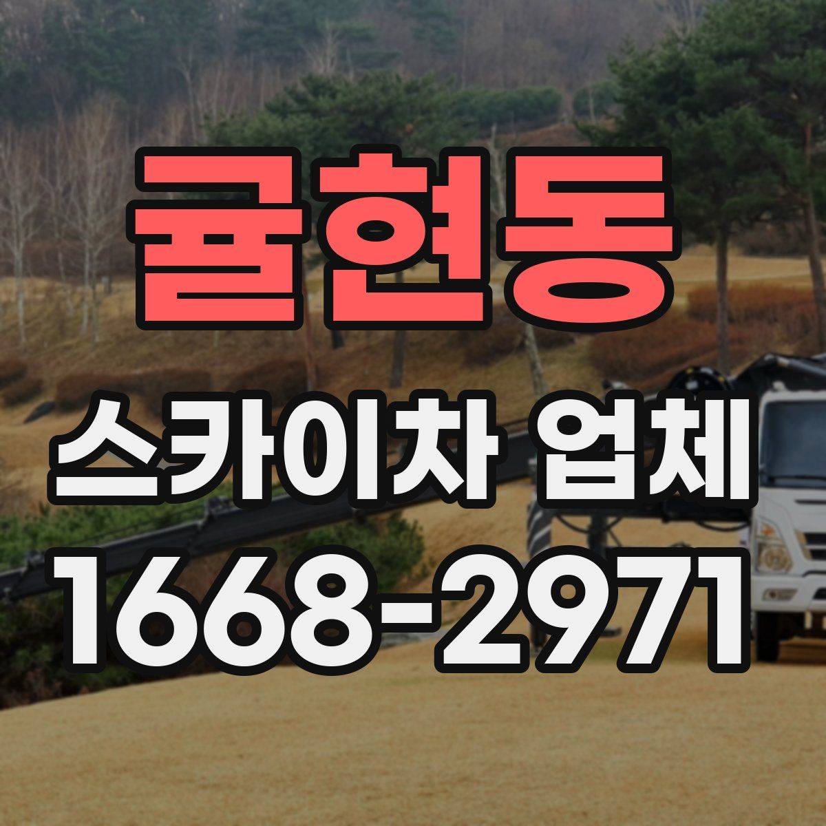 귤현동 스카이차 업체