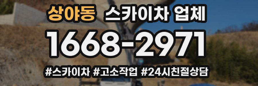 상야동 스카이차 업체