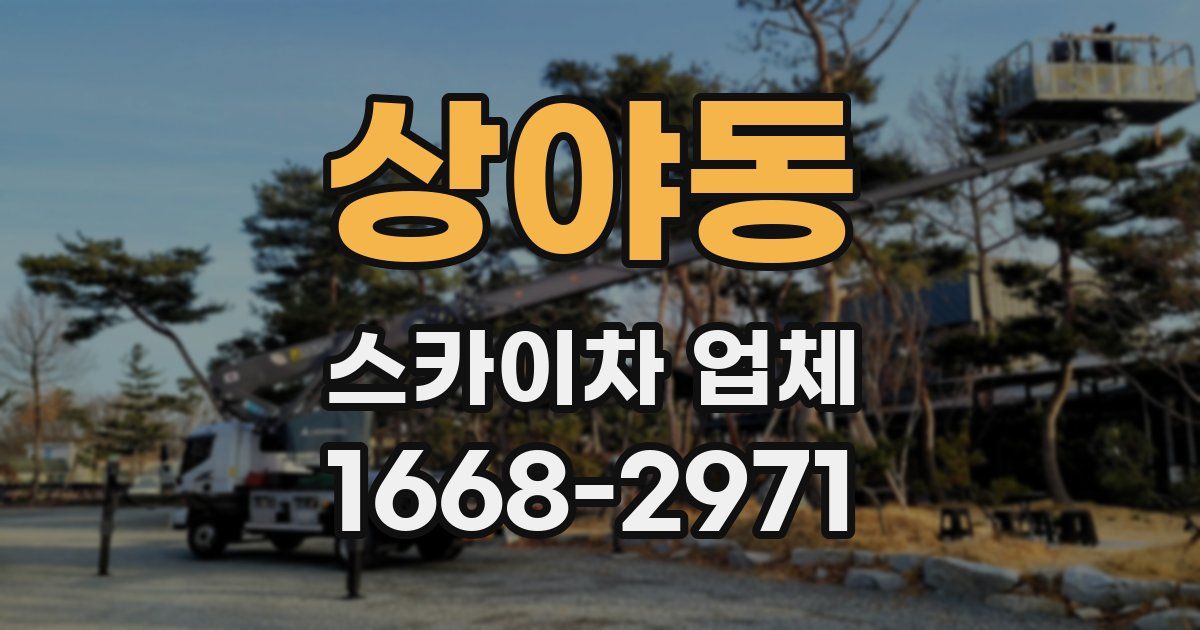 상야동 스카이차 업체