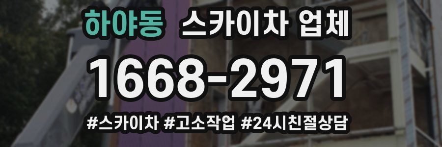하야동 스카이차 업체
