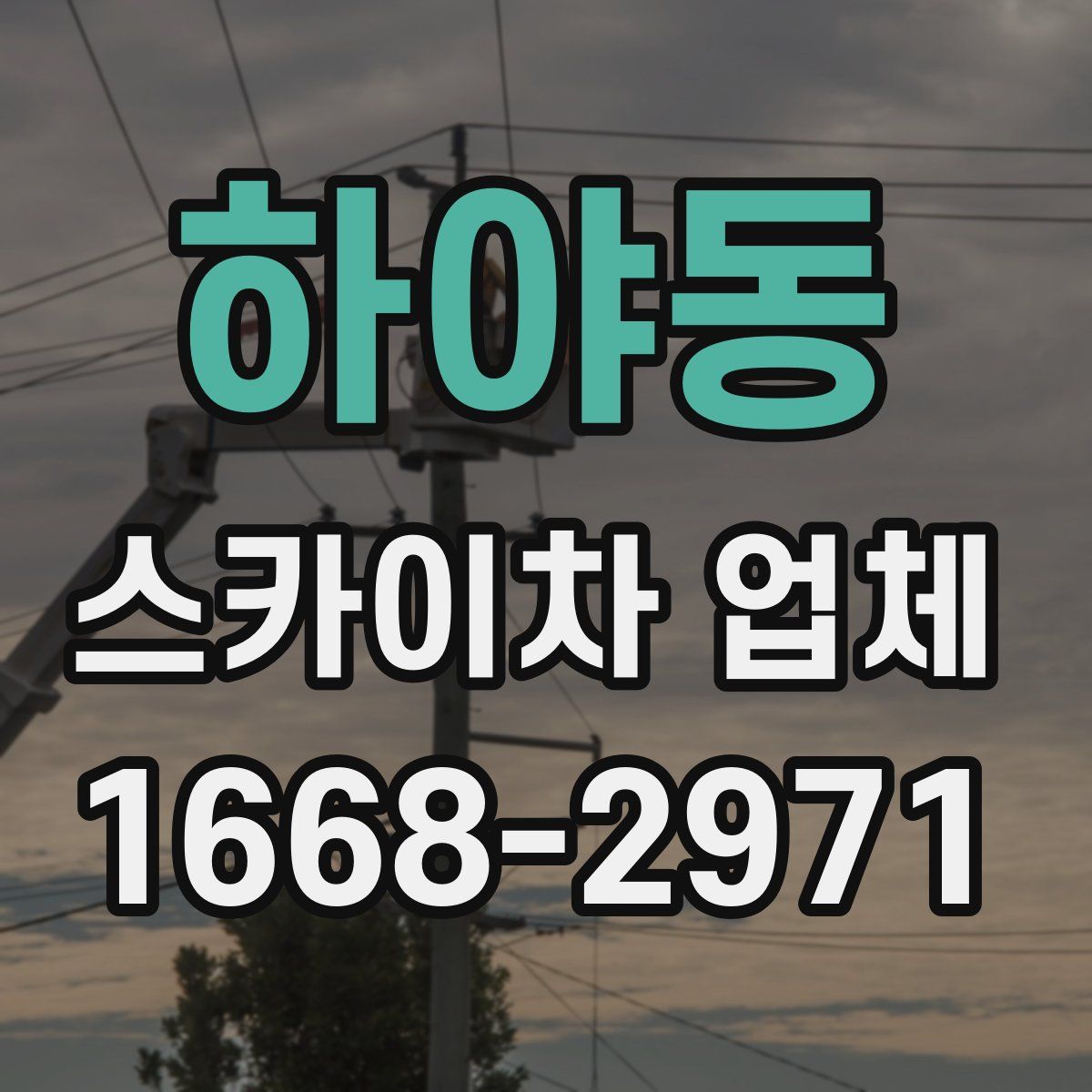 하야동 스카이차 업체