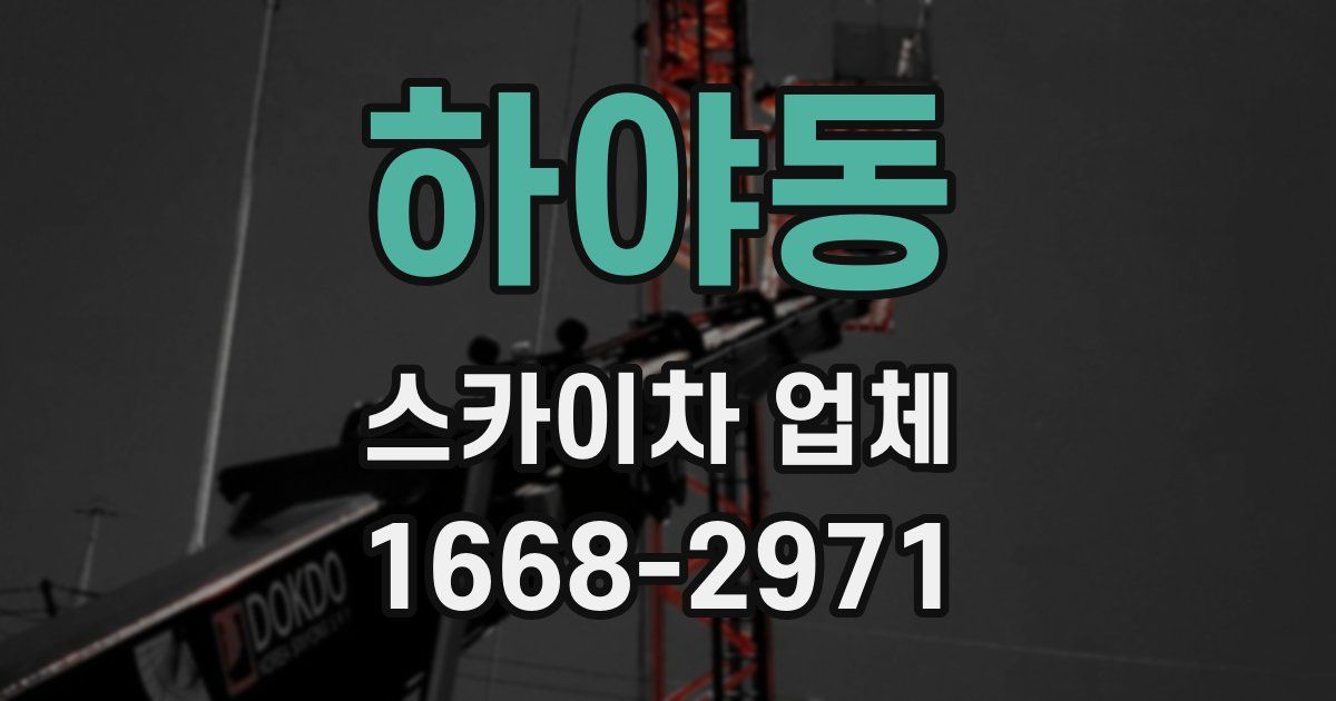 하야동 스카이차 업체
