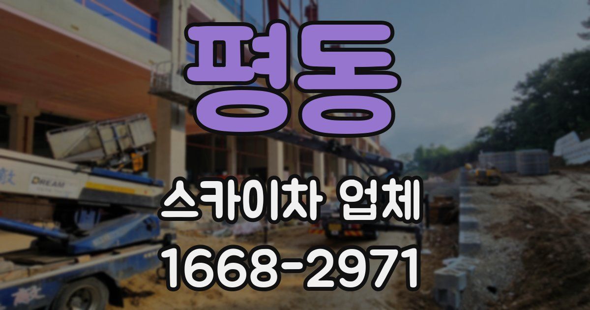 평동 스카이차 업체