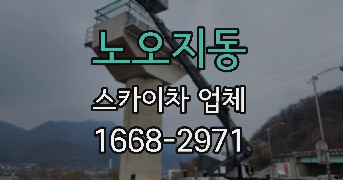 노오지동 스카이차 업체