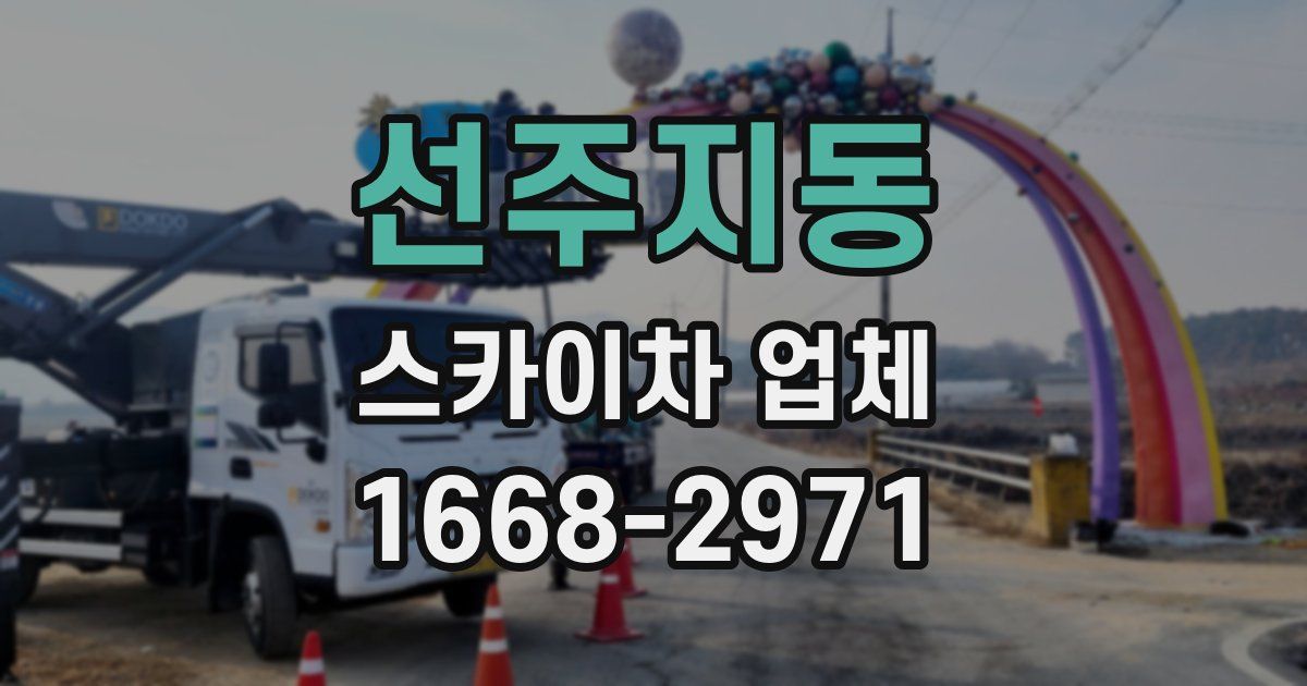 선주지동 스카이차 업체
