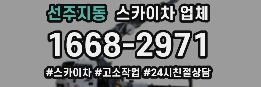 선주지동 스카이차 업체