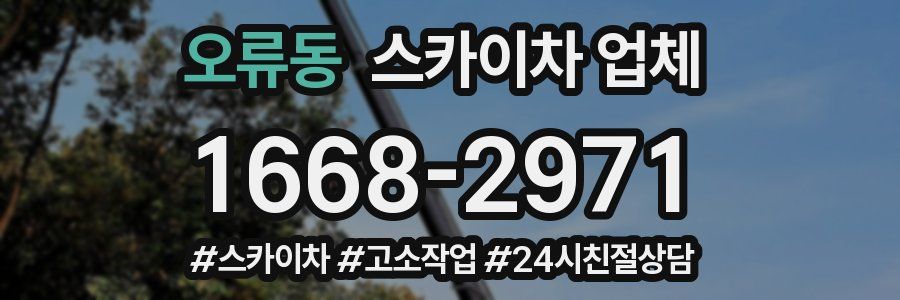 오류동 스카이차 업체
