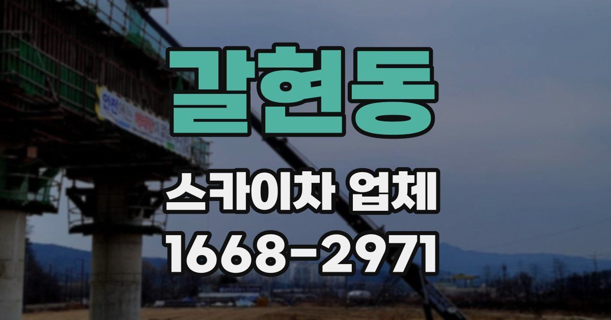 갈현동 스카이차 업체