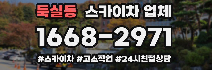 둑실동 스카이차 업체