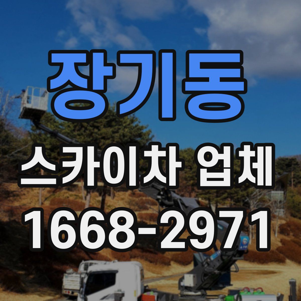 장기동 스카이차 업체